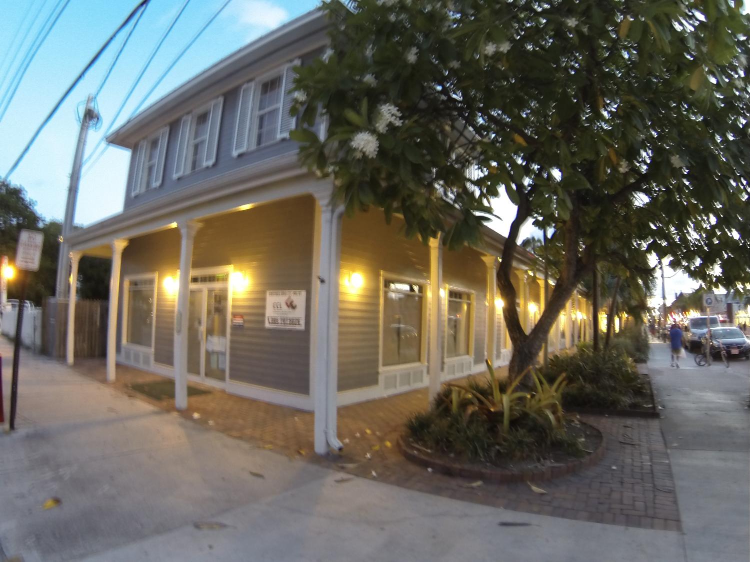 540 Greene Street at Night